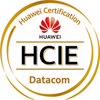 Huawei HCIE-Datacom
